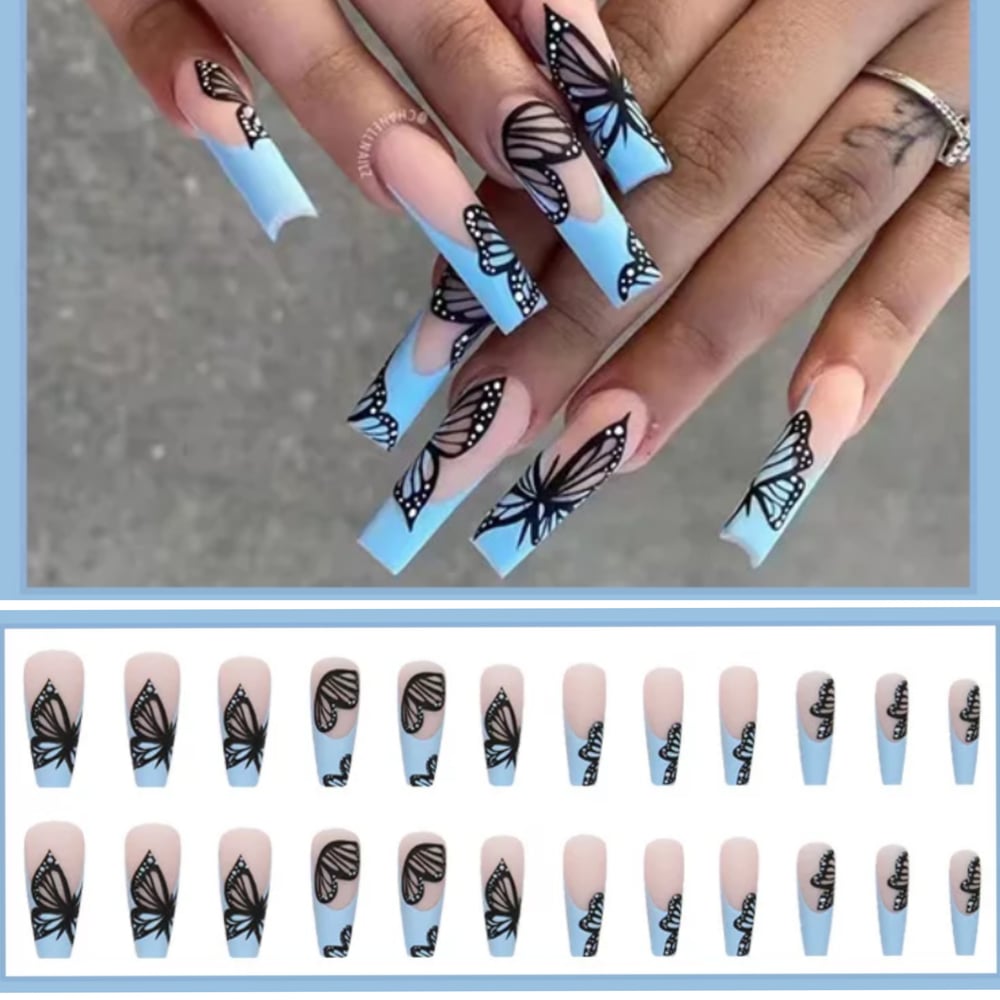Image of Light Blue Black Butterfly 