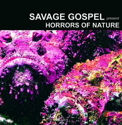 Image of Savage Gospel - Horrors of Nature CD