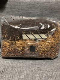 Mushroom Magic all-in-one Grow Bag