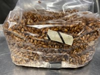 3 lb Sterilized Rye Grain