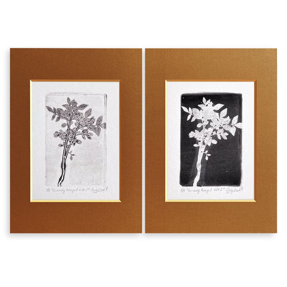 Image of Curiously Foraged 020