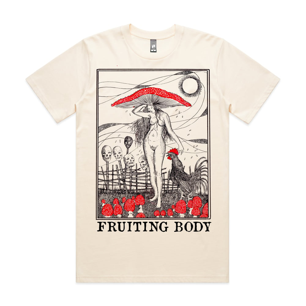 FRUITING BODY