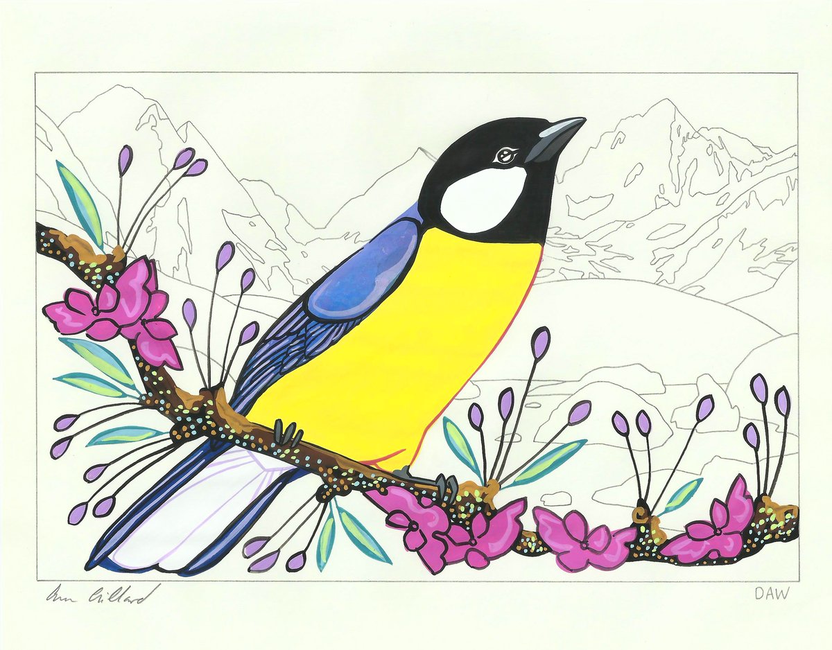 Image of Great Tit and Ottoline