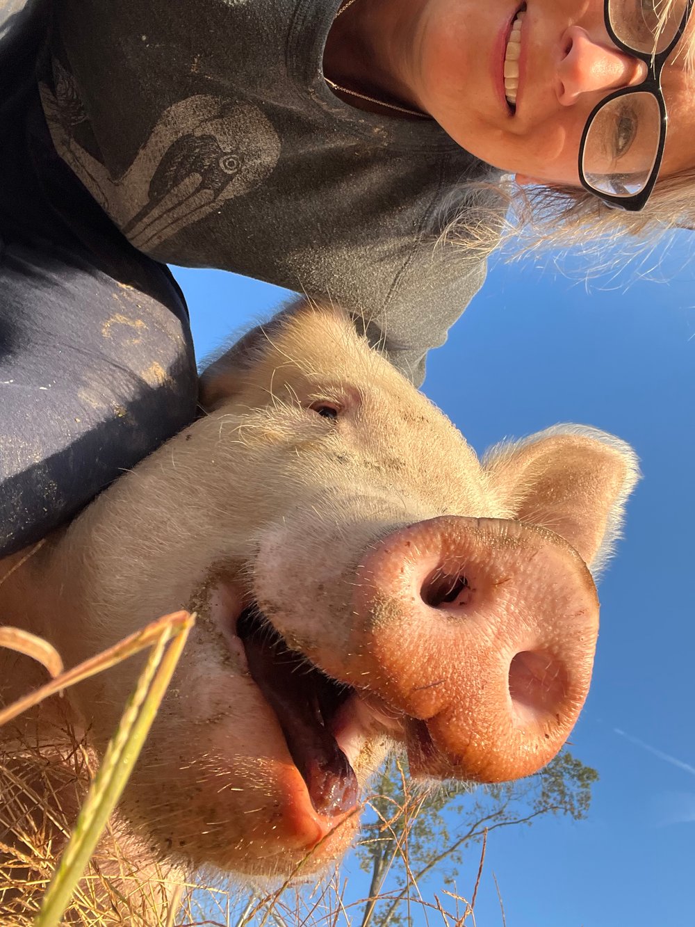 Half or Whole Hog Reserve March 2023
