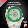 Plastic Eating (Pestalotiopsis Microspora) Live Mycelium Mushroom Culture Spawn Seed