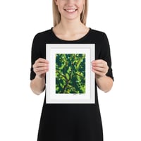 Image 2 of Arbor Umbella: Archival Print -Framed or Unframed