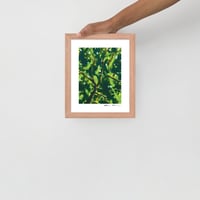 Image 3 of Arbor Umbella: Archival Print -Framed or Unframed