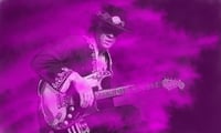 SRV Purple (1/25j