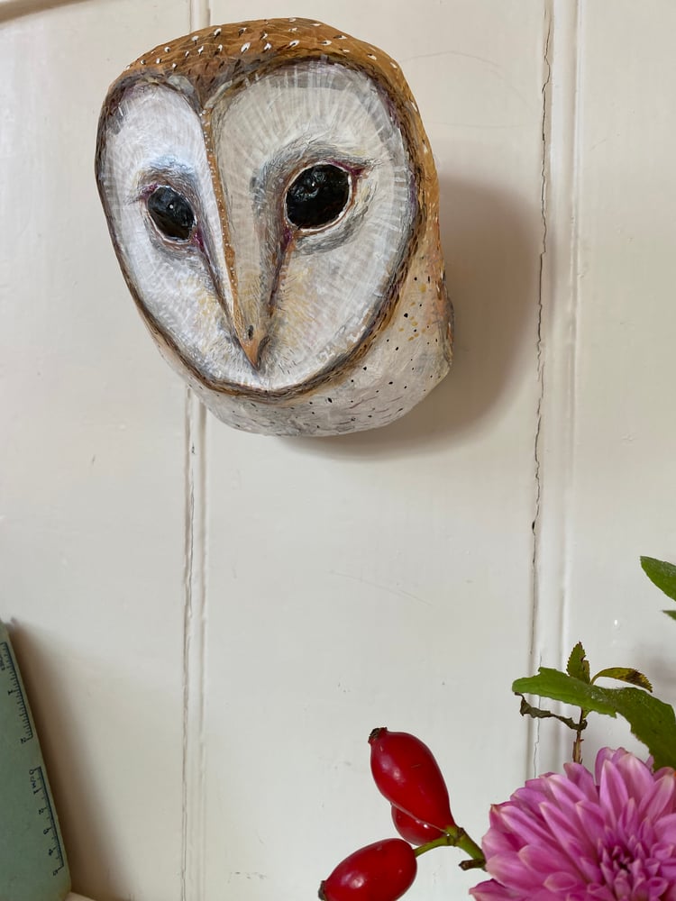 Image of New Barn Owl