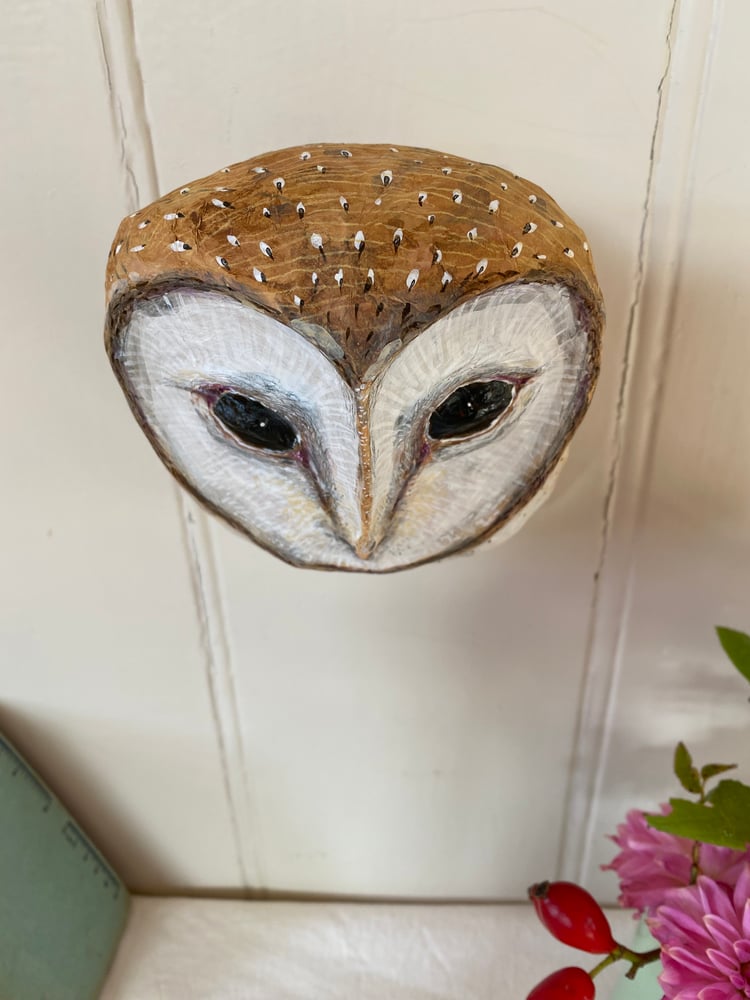 Image of New Barn Owl