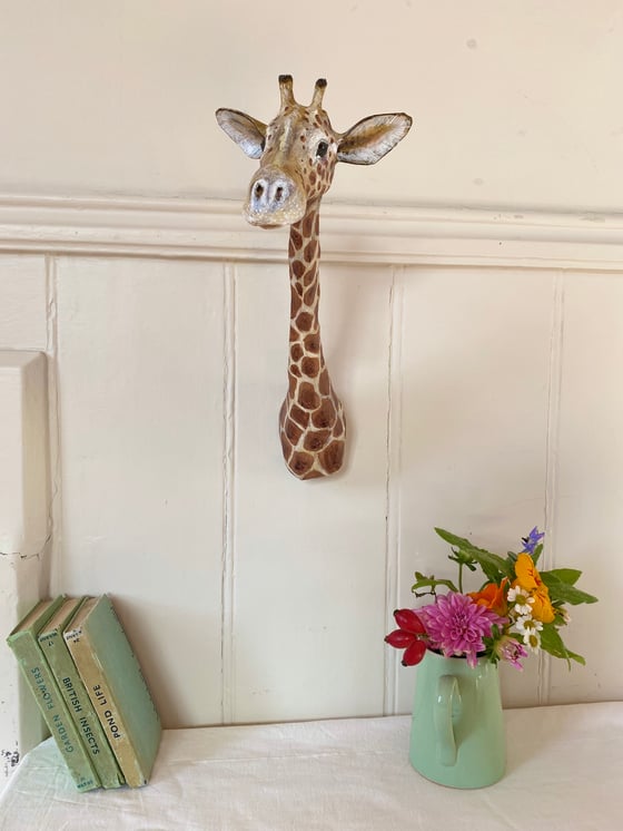 Image of Lovely Giraffe