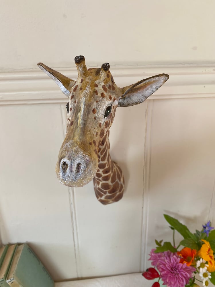 Image of Lovely Giraffe
