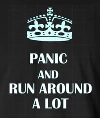 Image 2 of Panic and Run Around a Lot