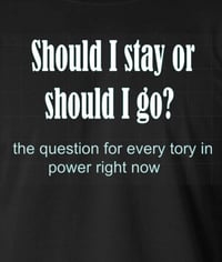 Image 2 of Should I Stay Or Should I Go?