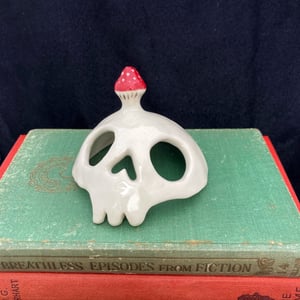 Image of Skull with mushroom