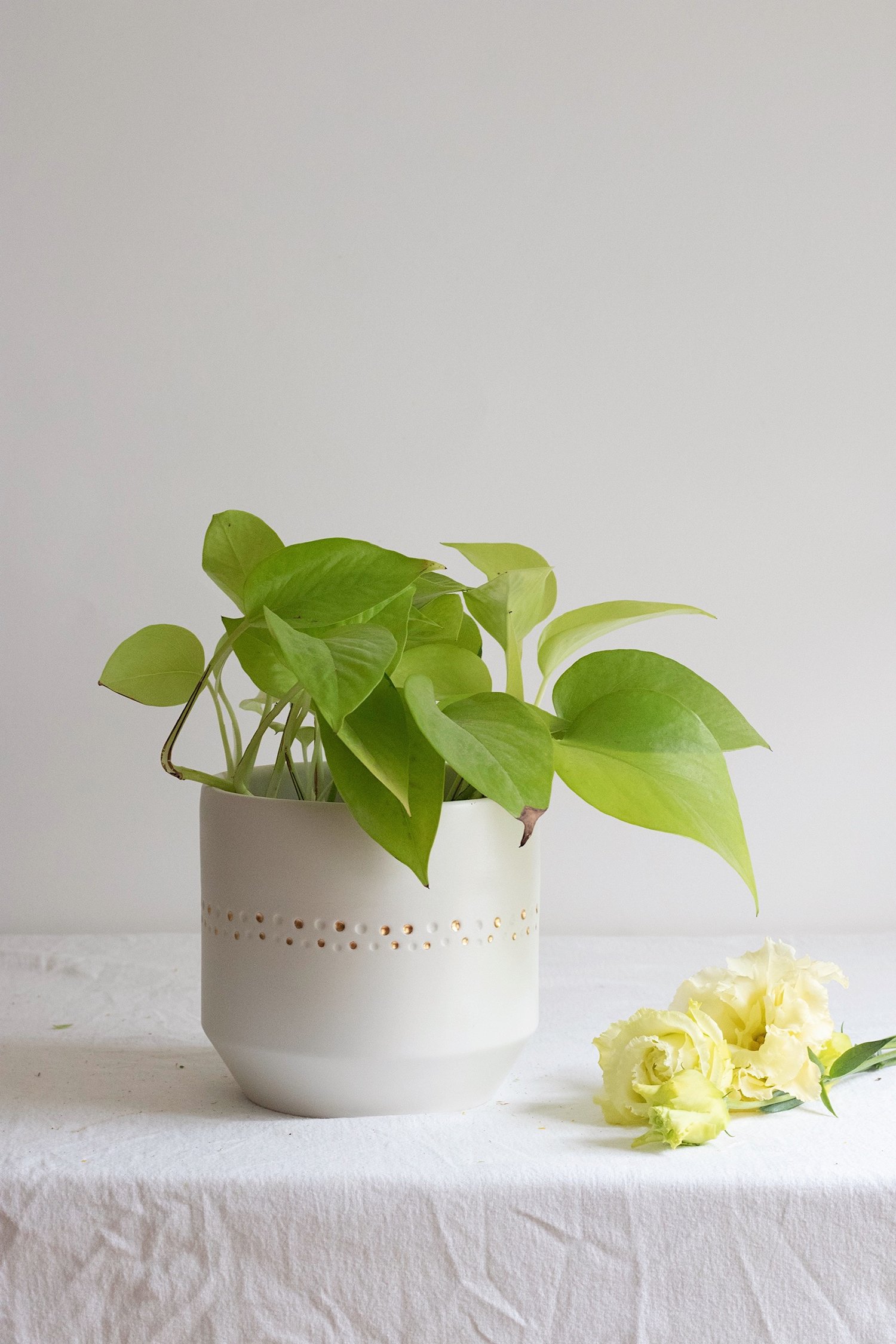 Image of NECKLACE Plant VASE