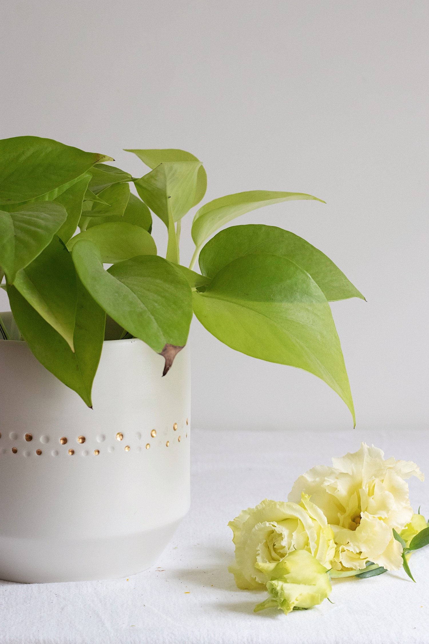 Image of NECKLACE Plant VASE