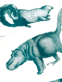 Image 2 of Hybrides mammifères — Marieke