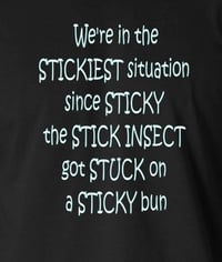 Image 2 of Sticky the Stick Insect (portrait)