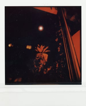Polaroid Armonia Nocturna I