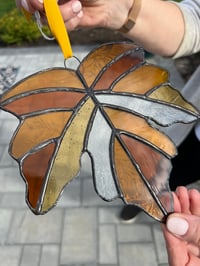 Image 2 of Maple Leaf