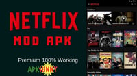 Download the Netflix APK