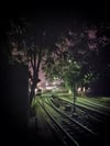 "Thissio by night"
