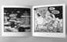 Image of Multimatum Comic