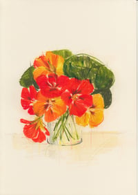 Vase of nasturtiums no. 5