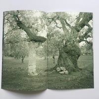 Image 2 of Pillars by Harrison Dilks