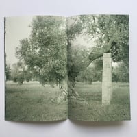 Image 3 of Pillars by Harrison Dilks