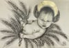 Baby Lugh - Art Print By Dee Mulrooney 