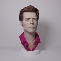 Image 1 of Harry Styles - Hand Painted Clay Bust Sculpture