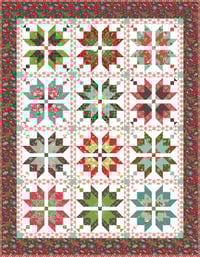 Image 1 of Aster Kit in Winter Wonder