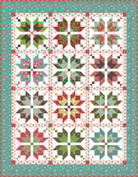 Image 2 of Aster Kit in Winter Wonder
