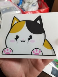 FF Fat Cat  Peeker