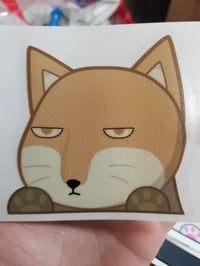 FF Sand Fox Peeker