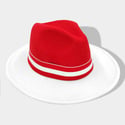  Wide Brim Two-Tone Fedoras | AKA|Zeta Phi Beta| Delta Sigma Theta