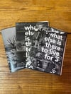 What Else is There to Live For 1, 2 & 3 (Zines)