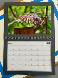 Image 5 of 2025 Bird Calendar 
