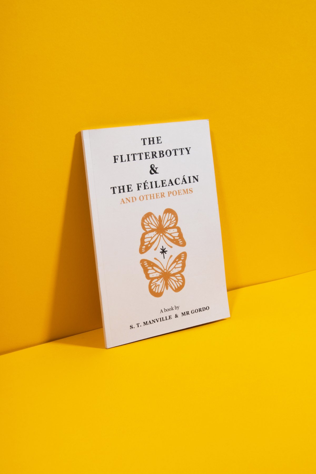 Image of The Flitterbotty & The Féileacáin