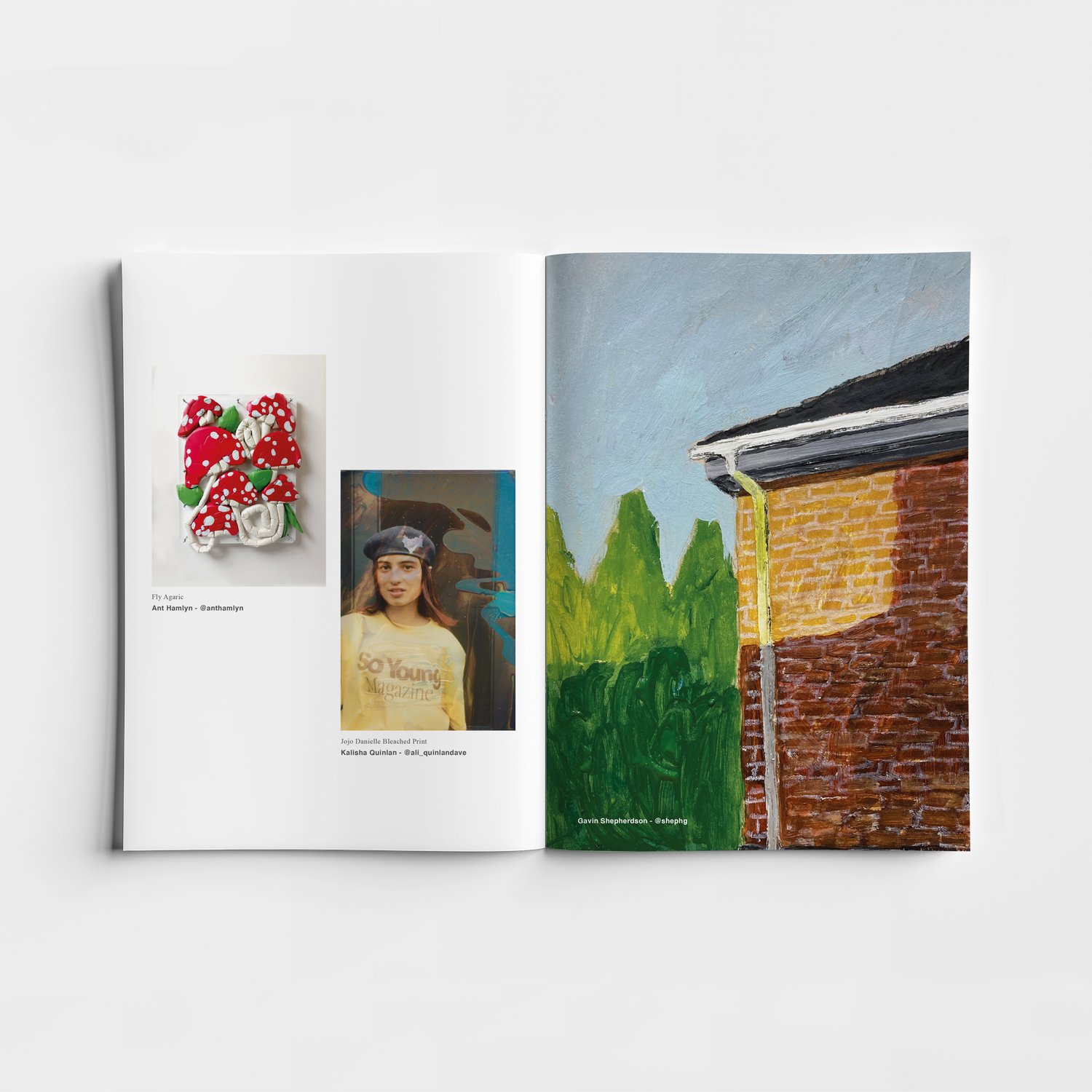 Image of So Young Issue Forty