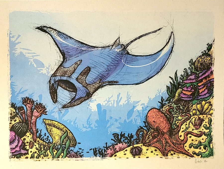 Image of Manta on the Reef