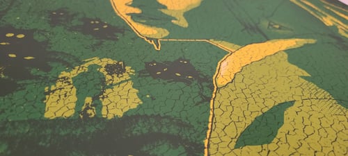 Image of Girl with the Tri-Force Earring