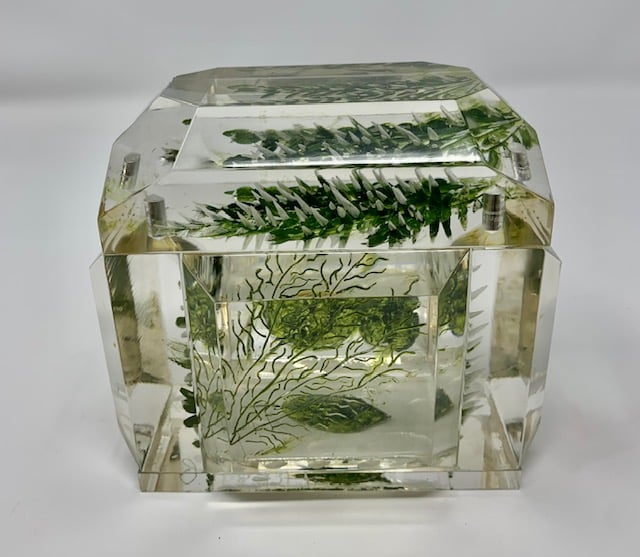 Image of Painted Mini Victorian Box- back in stock!