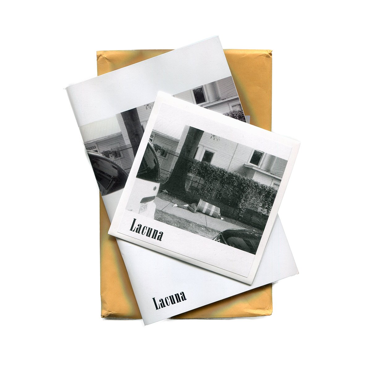 Skapegoat Lacuna DVD/Zine / The Central Library