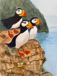 Puffin Trio