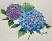 Hydrangea Trio