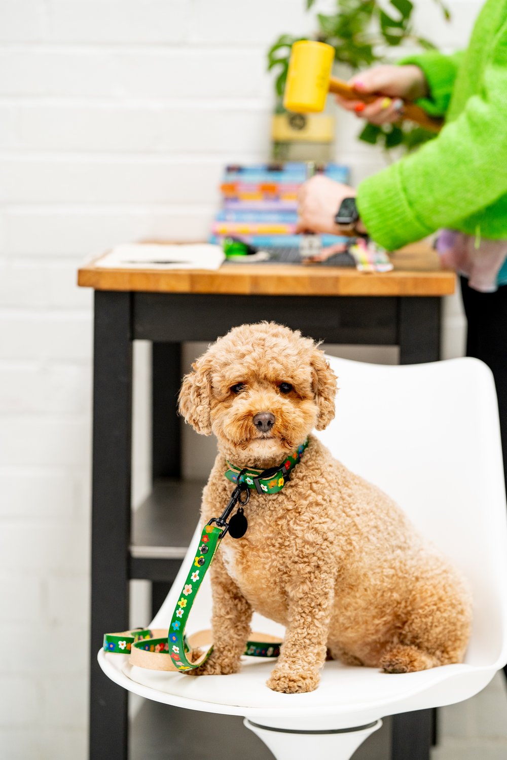 'Jade's Bouquet' Leather Collar