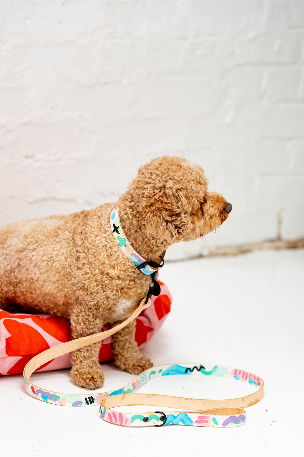 'Dinki-Di' Leather Collar
